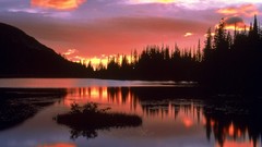 Landscapes sunrise Washington national park Mount Rainier