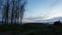 Landscapes sunset Beaches skies Sony NEX-C3 Golden Garden WA