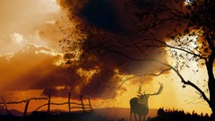 Landscapes sunset clouds silhouettes