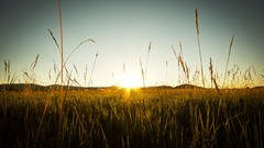 Landscapes sunset Colorado