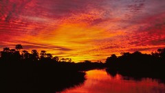 Landscapes sunset Delta national park botswana