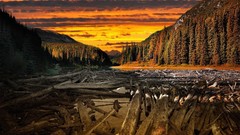 Landscapes sunset Earth Wood rivers