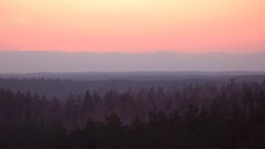 Landscapes sunset Estonia Wood forests