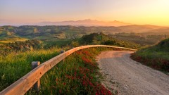 Landscapes sunset Flowers grass sun roads buildings skyscapes