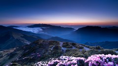 Landscapes sunset Flowers nature blue Mountains hills pink 