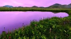 Landscapes sunset Flowers nature Mountains ocean Aircraft ice 