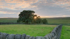 Landscapes sunset Flowers nature Mountains ocean Aircraft ice 