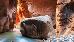 Landscapes sunset Flowers nature Mountains ocean Aircraft ice 