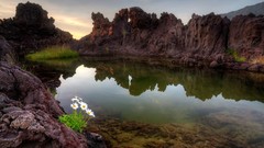 Landscapes sunset Flowers nature water white Green lagoon 