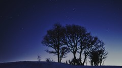 Landscapes sunset fog nature grass Mountains ocean light Green 