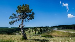 Landscapes sunset fog nature grass Mountains ocean light Green 