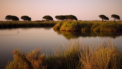 Landscapes sunset fog nature grass Mountains ocean light Green 