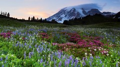 Landscapes sunset fog nature grass Mountains ocean light Green 