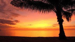 Landscapes sunset fog nature grass ocean light Green cloud 