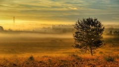 Landscapes sunset fog nature Trees clouds fields skyscapes