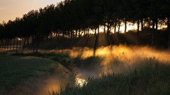 Landscapes sunset fog nature Trees grass sun light fields