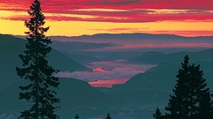 Landscapes sunset fog nature Trees Mountains forests skylines