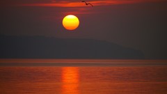 Landscapes sunset fog nature Trees Mountains ocean Green cloud 