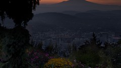 Landscapes sunset fog nature Trees Mountains ocean Green cloud 