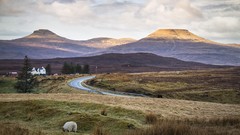 Landscapes sunset fog nature Trees Mountains ocean Green cloud 