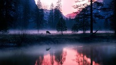 Landscapes sunset fog nature Trees water Mountains deer lakes 