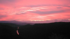 Landscapes sunset forests