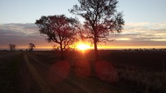 Landscapes sunset land Australia Rural countryside country road 