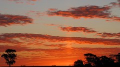 Landscapes sunset land Australia Rural farmland