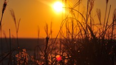 Landscapes sunset nature