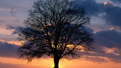 Landscapes sunset nature