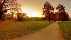 Landscapes sunset nature