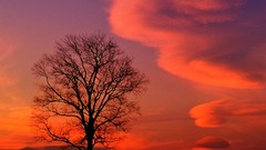 Landscapes sunset nature