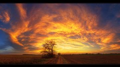 Landscapes sunset nature