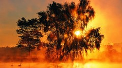 Landscapes sunset nature