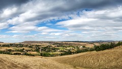 Landscapes sunset nature Animals Dogs widescreen skyscapes