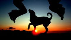 Landscapes sunset nature Animals jump Dogs silhouettes national 