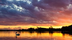 Landscapes sunset nature Animals Mountains clouds Pelicans