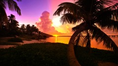 Landscapes sunset nature Beaches