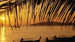 Landscapes sunset nature Boats Thailand silhouettes palm leaves