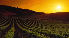 Landscapes sunset nature California Napa Valley