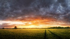 Landscapes sunset nature clouds fields HDR Photography skyscapes