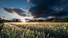 Landscapes sunset nature clouds land skyscapes