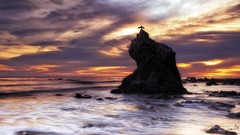 Landscapes sunset nature coast Birds rocks Beaches waves