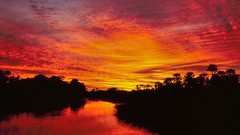 Landscapes sunset nature Delta national park botswana
