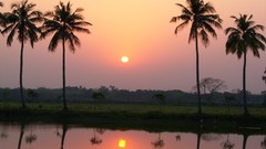 Landscapes sunset nature evening palm trees reflections rivers
