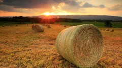 Landscapes sunset nature fields