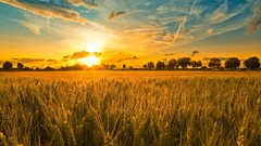 Landscapes sunset nature fields