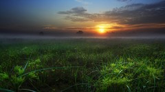 Landscapes sunset nature fields skyscapes