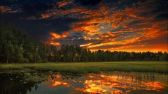 Landscapes sunset nature forests scenic