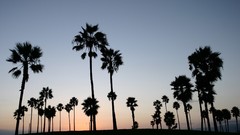 Landscapes sunset nature grass sun clouds California palm trees 